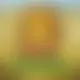Zagraj Mega Moolah z Games Global w {"id":24,"name":"SmokAce","design":{"logo":"smokace-logo.QIPgM9.svg","favicon":"smokace-favicon.L6cNqP.png","banner_poker":"smokace-poker.lcW11M.webp","banner_mobile":"smokace-mobile.hFWRLT.webp","block_bg_color":"#5C1706","image_bg_color":"#27272a","banner_bg_color":"#5C1706","block_text_color":"#ffffff","primary_bg_color":"#1F130C","banner_text_color":"#EEE6D3","footer_logos_type":"white","block_round_radius":"0.5rem","primary_text_color":"#EEE6D3","button_round_radius":"0.5rem","banner_welcome_bonus":"smokace-welcome-bonus.5O11n5.webp","primary_button_bg_color":"#FEB822","primary_button_text_color":"#5C1706","secondary_button_bg_color":"#0CCB67","secondary_button_text_color":"#F2E3C1"},"created_at":"2025-05-14T09:25:22.000000Z","updated_at":"2025-05-14T09:25:22.000000Z","deleted_at":null}