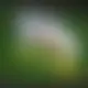Zagraj Let It Ride z Playtech w {"id":24,"name":"SmokAce","design":{"logo":"smokace-logo.QIPgM9.svg","favicon":"smokace-favicon.L6cNqP.png","banner_poker":"smokace-poker.lcW11M.webp","banner_mobile":"smokace-mobile.hFWRLT.webp","block_bg_color":"#5C1706","image_bg_color":"#27272a","banner_bg_color":"#5C1706","block_text_color":"#ffffff","primary_bg_color":"#1F130C","banner_text_color":"#EEE6D3","footer_logos_type":"white","block_round_radius":"0.5rem","primary_text_color":"#EEE6D3","button_round_radius":"0.5rem","banner_welcome_bonus":"smokace-welcome-bonus.5O11n5.webp","primary_button_bg_color":"#FEB822","primary_button_text_color":"#5C1706","secondary_button_bg_color":"#0CCB67","secondary_button_text_color":"#F2E3C1"},"created_at":"2025-05-14T09:25:22.000000Z","updated_at":"2025-05-14T09:25:22.000000Z","deleted_at":null}